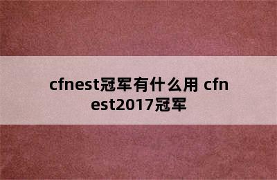 cfnest冠军有什么用 cfnest2017冠军